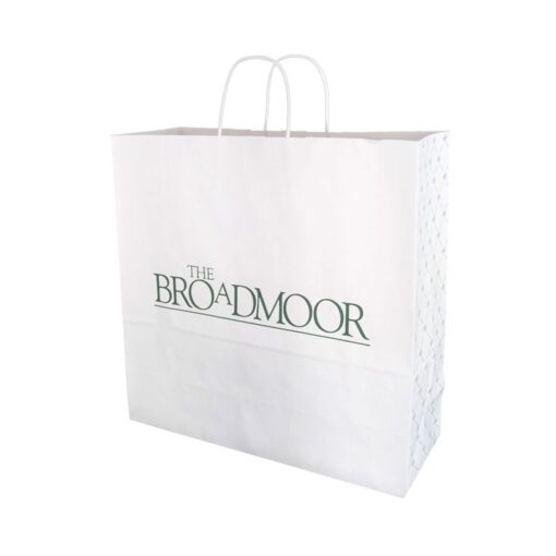 2PCS Washable Kraft Paper Bags Brown Eco-friendly Reusable Paper Bags –  morgianatableware